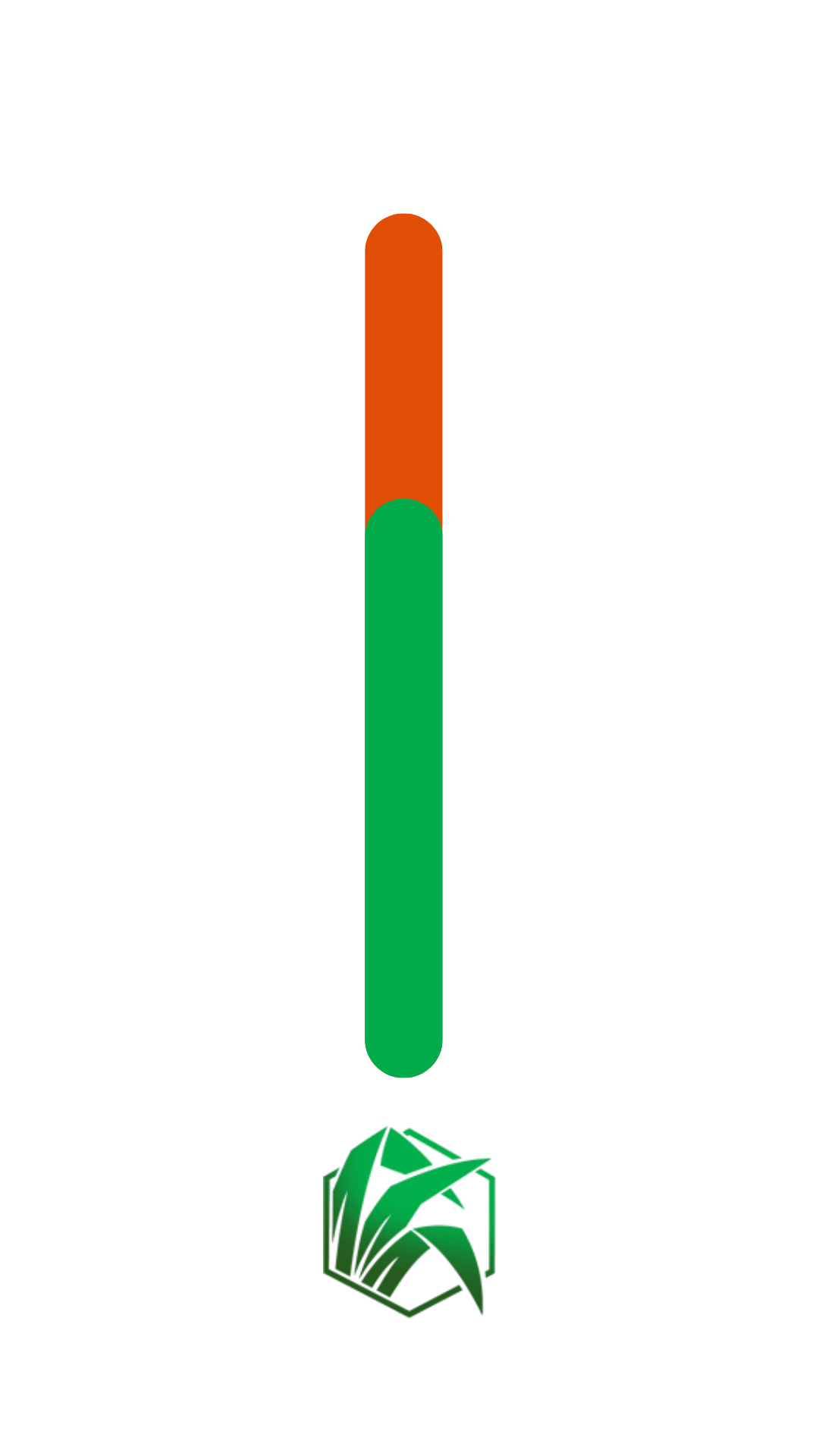 organocampo-termometro